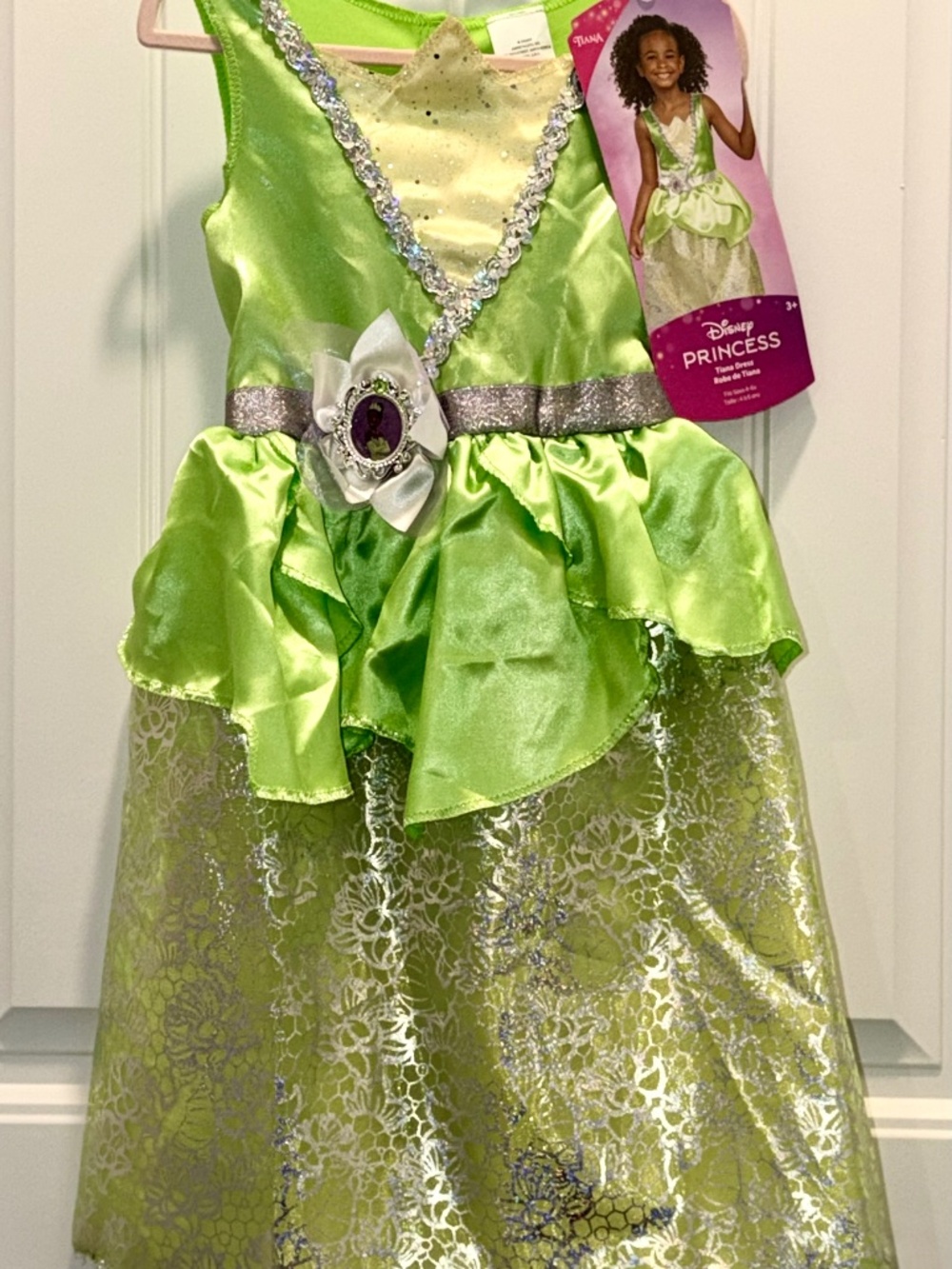 Disney Princess Tiana Girls Small Costume Dress
